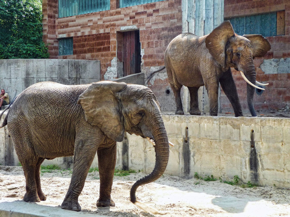 Bajmóc – spa környék / tó